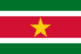 ความหมายของธงชาติประเทศซูรินาเม Suriname